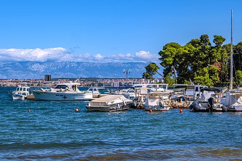Kroatië : Eiland Ugljan - Preko