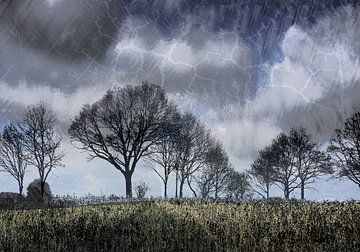 the cracks where the light comes in van Henk Speksnijder