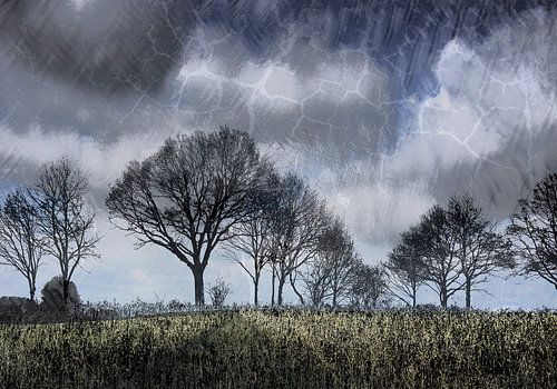 the cracks where the light comes in