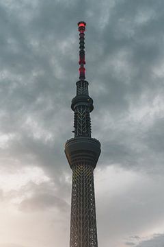Tokyo Skytree in de avondzon van Endre Lommatzsch