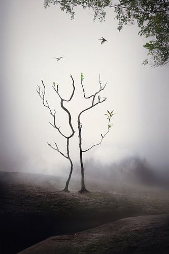 Beeldmanipulatie: Mistig Landschap met Verborgen Menselijke Vormen - Mystiek en Natuur in Kunst