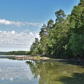 Das grüne Wasser Schwedens von Naomi Elshoff