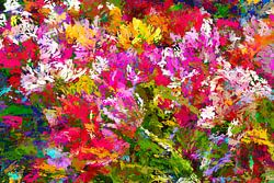 Impressie van keukenhof