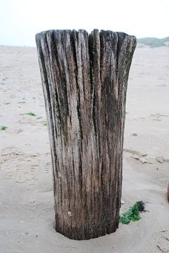 Strand van Ameland