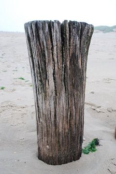 Strand van Ameland