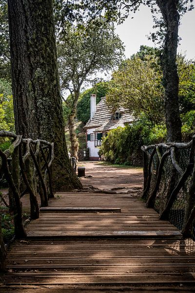 House in the woods by Youp Lotgerink