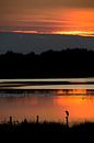 Avondrood Biesbosch van Martijn Smit thumbnail