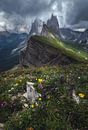 Dolomiten Seceda im Sommer bei Unwetter von Jean Claude Castor Miniaturansicht