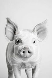 Schwein von Poster Art Shop