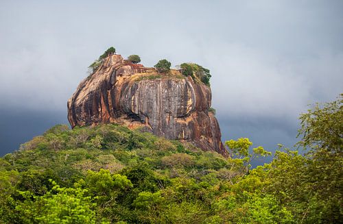 De Leeuwenrots of Sri lanka - Sigiriya van Ton Tolboom