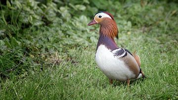 Fertig für den Ausflug