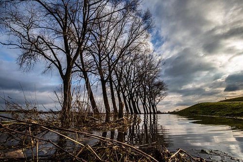 Deventer, Ijssel, High Water.