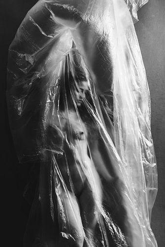 boudoir artistique nue fine art