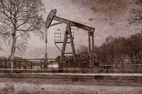 Jaknikker sur parchemin