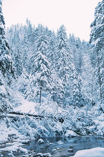 Blue Winter Landscape