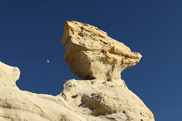 De-na-zin wilderness area, Bisti badlands, New Mexico USA by Frank Fichtmüller