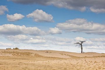 Lonely tree van Peter van Rooij