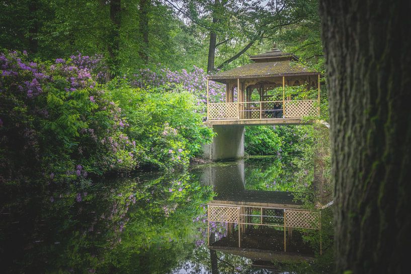 la maison en bois par roy colen