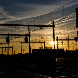 Silhouette van Nick Hoekstra