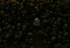 Grande statue de Bouddha en bronze entourée d'une forêt, vue aérienne sur Besa Art