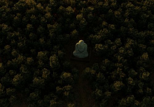 Groot bronzen Boeddhabeeld omgeven door bos, vanuit vogelperspectief van Besa Art
