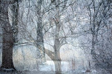 Winterlandschap van Art by Janine