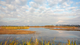 Plaines inondables de Munnikenland sur Petra Kilwinger