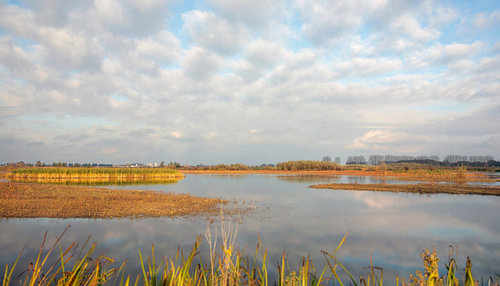 Auenlandschaft Munnikenland