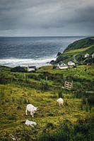 Schilderij kijken - De westkust van Ierland