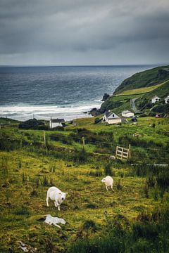 Schilderij kijken - De westkust van Ierland van Martin Diebel