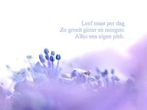 Vivre seulement au jour le jour : Vague Bleue