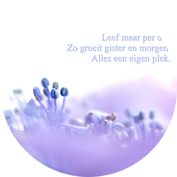 Leef maar per dag: Blue Wave