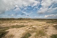 Landschap natuurgebied Zuid Kennemerland van Sander Jacobs thumbnail