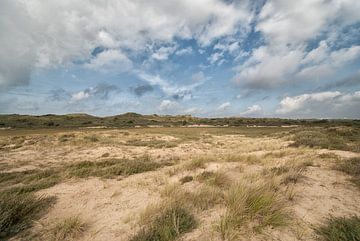 Landschap natuurgebied Zuid Kennemerland van Sander Jacobs