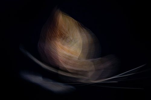 Gouden Herfst | Abstracte Fotokunst van Arma Kremers