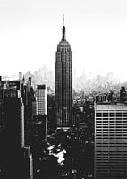 New York, NYC, Brooklyn, Manhattan, Dumbo, Empire State