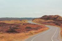 Slingerende weg door de Texelse duinen