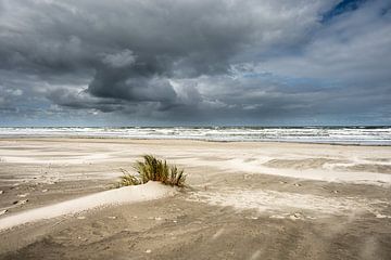 Strand Nordsee Ameland von Martien Hoogebeen Fotografie