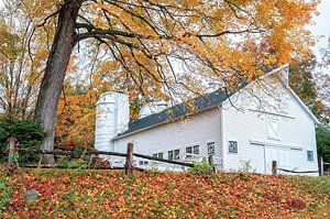 White Connecticut Scheune und Silo Herbst Laub Saison von Slukusluku batok