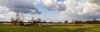 De weiden van de Elbe in maart