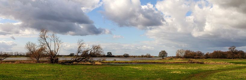 De weiden van de Elbe in maart van georgfotoart