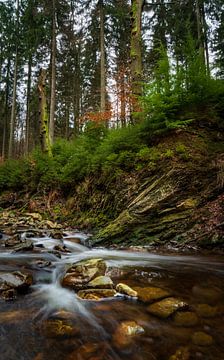 Stromend riviertje in het hart van de Belgische Ardenne 