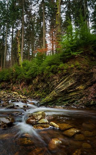 Flowing river in the heart of the Belgian Ardennes 