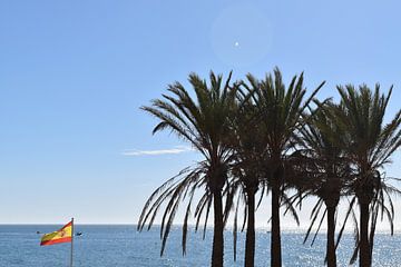 Palmbomen aan zee van Claude Laprise