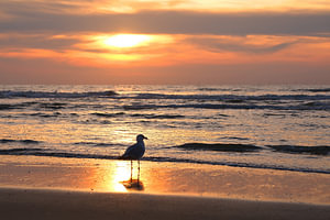 zonsondergang aan de kust van Zandvoort