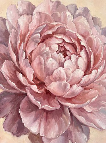 Entfaltende Pfingstrose – Rosa und Creme