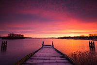 Purple sunrise Rotterdam, the Netherlands.
