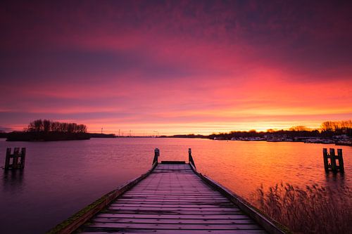 Lever de soleil violet Rotterdam, Pays-Bas.