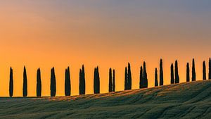 Sonnenaufgang Poggio Covili, Val d'Orcia, Toskana, Italien