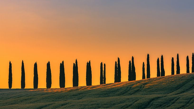 Sunrise Poggio Covili, Val d'Orcia, Tuscany, Italy by Henk Meijer Photography